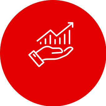 Investment Capacity